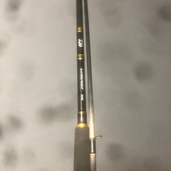 本日限定で4000円にします‼️早めの取り引き希望‼️ダイワルア...