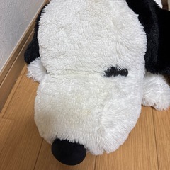 snoopy
の画像