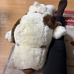 snoopy
の画像
