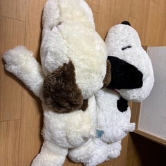 snoopy
