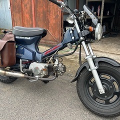 カブカスタムレストアベース
の画像