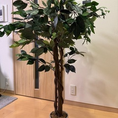 観葉植物（フェイクグリーン）