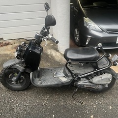 ホンダ　ズーマーの画像