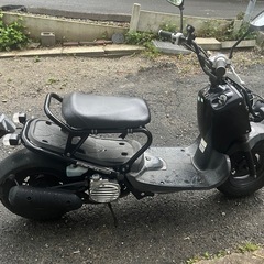 ホンダ　ズーマーの画像