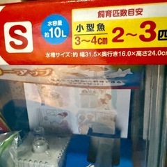 限定1個のみ　新品　水槽セットSの画像