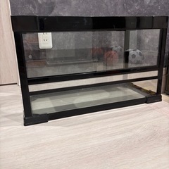 爬虫類ガラスケージ(約60センチ)、パネルヒーター、暖突セット