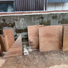 木　大きさ、形いろいろ