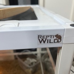 パンテオン　ホワイトゲージ