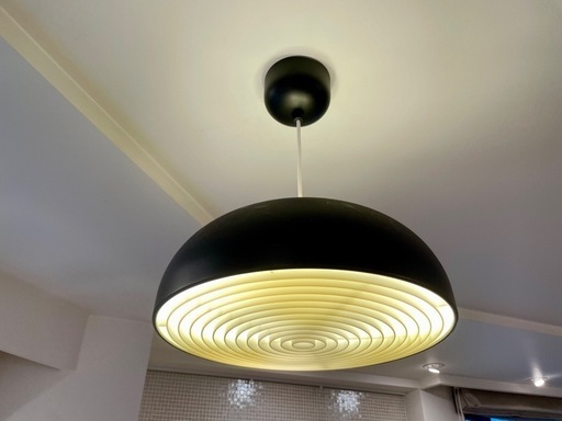 IKEA NYMÅNE ニーモーネ ペンダントランプ（チャコール）＋LED