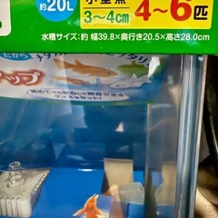 限定1個のみ　新品　水槽セットLの画像