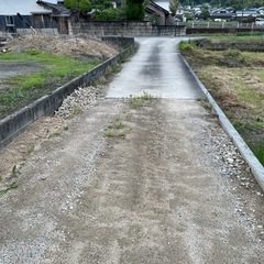 穴掘り　
