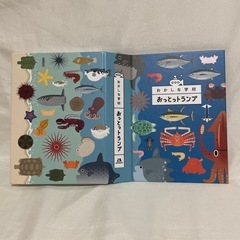 おかしな学校　おっとっトランプの画像