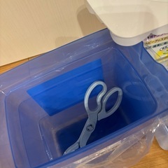 ミルトン
の画像