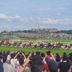 明日5月18日お時間ある方！😁 - 新宿区