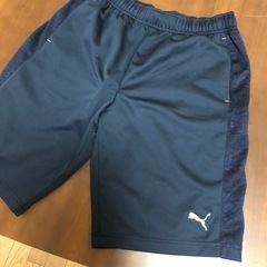 PUMA ハーフジャージパンツ