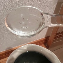 MIXメダカの稚魚