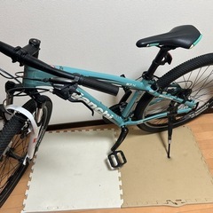 ビアンキ　クマ