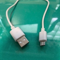 USBケーブル　タイプB  の画像