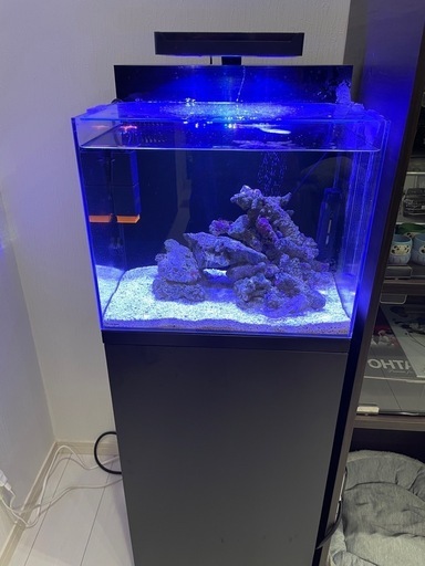 水槽フルセット