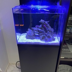 水槽フルセット