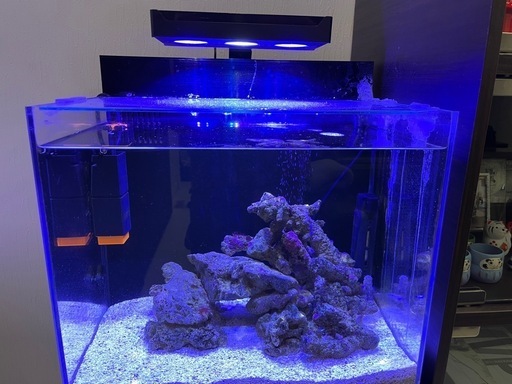 水槽フルセット