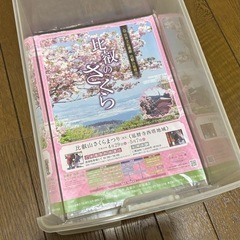 A4サイズ収納ケースの画像
