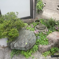 庭石