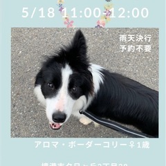 アロマ譲渡会