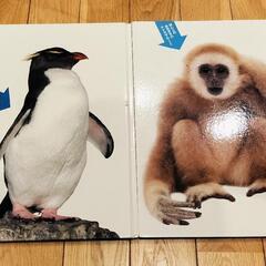 ほんとのおおきさ　水族館　動物園の画像