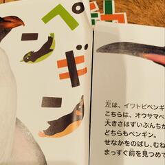 ほんとのおおきさ　水族館　動物園の画像