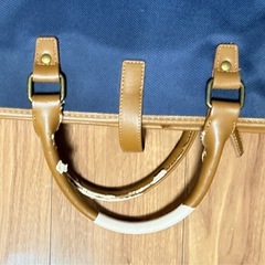 ガーバメントケースの画像