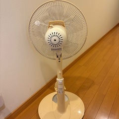 【決まりました】扇風機の画像