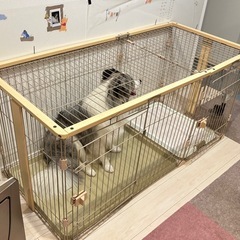 大型犬・中型犬用ケージペットサークル（ベージュ・屋根付き）　　　