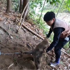 猟師仲間募集🐗🦌🦆 - 安芸郡