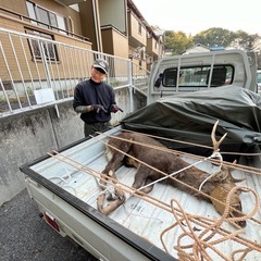 猟師仲間募集🐗🦌🦆 - メンバー募集