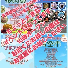 5/18 多肉祭&メダカ祭、子どもフリマの「青空市」合同イベント開催