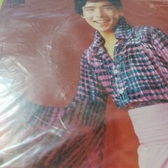 (中古EPレコード)花とみつばち－郷ひろみ(18 )