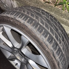 ロリンザータイプ 20インチの画像