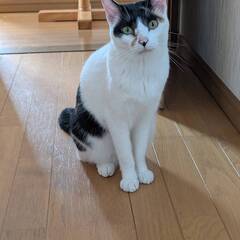 6月1日（日）里親会参加♥ナルちゃん♥