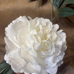 大きい造花の画像