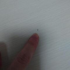 ニトリ 2WAYこたつNVシリーズの画像