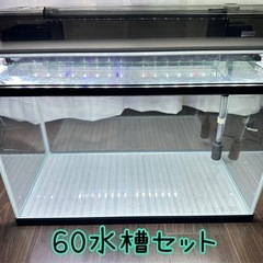 (お取引中)60cm水槽セット｜GEXグランデ600＋LEDライ...