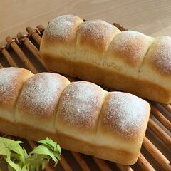 ９月平日開催のパン教室参加者募集中の画像