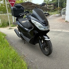 pcx カウル一式　黒　JF56の画像