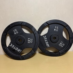 アイロテック iROTEC 15Kg プレート 2枚