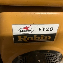 ロビン　動墳　セットの画像