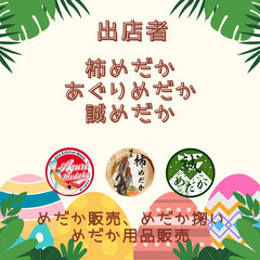 めだか即売会（5/18） - 本巣郡