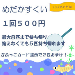 めだか即売会（5/18） - 地元のお店