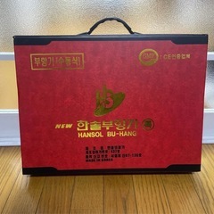 ハンディーケース入り 未使用、新品 多少のコツはいりますがホース...