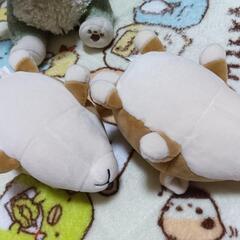 LIV HEART柴犬小太郎ミニの画像